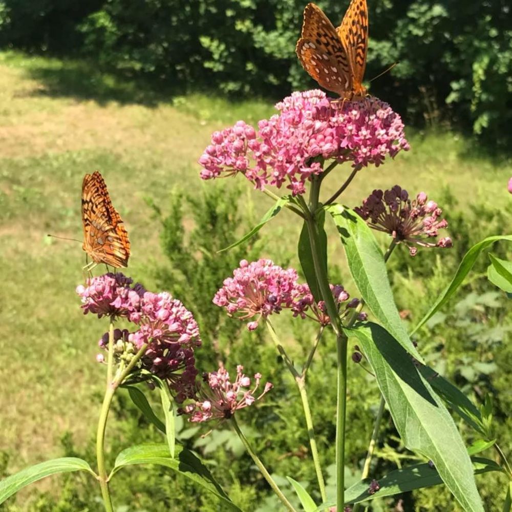 Meet your Posher, Karen